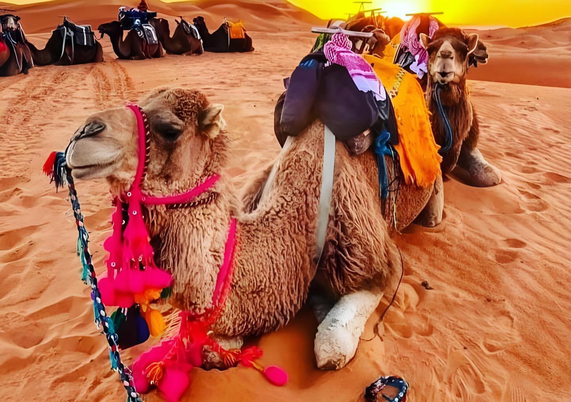 Merzouga Luxurious Tented Eksteriør billede